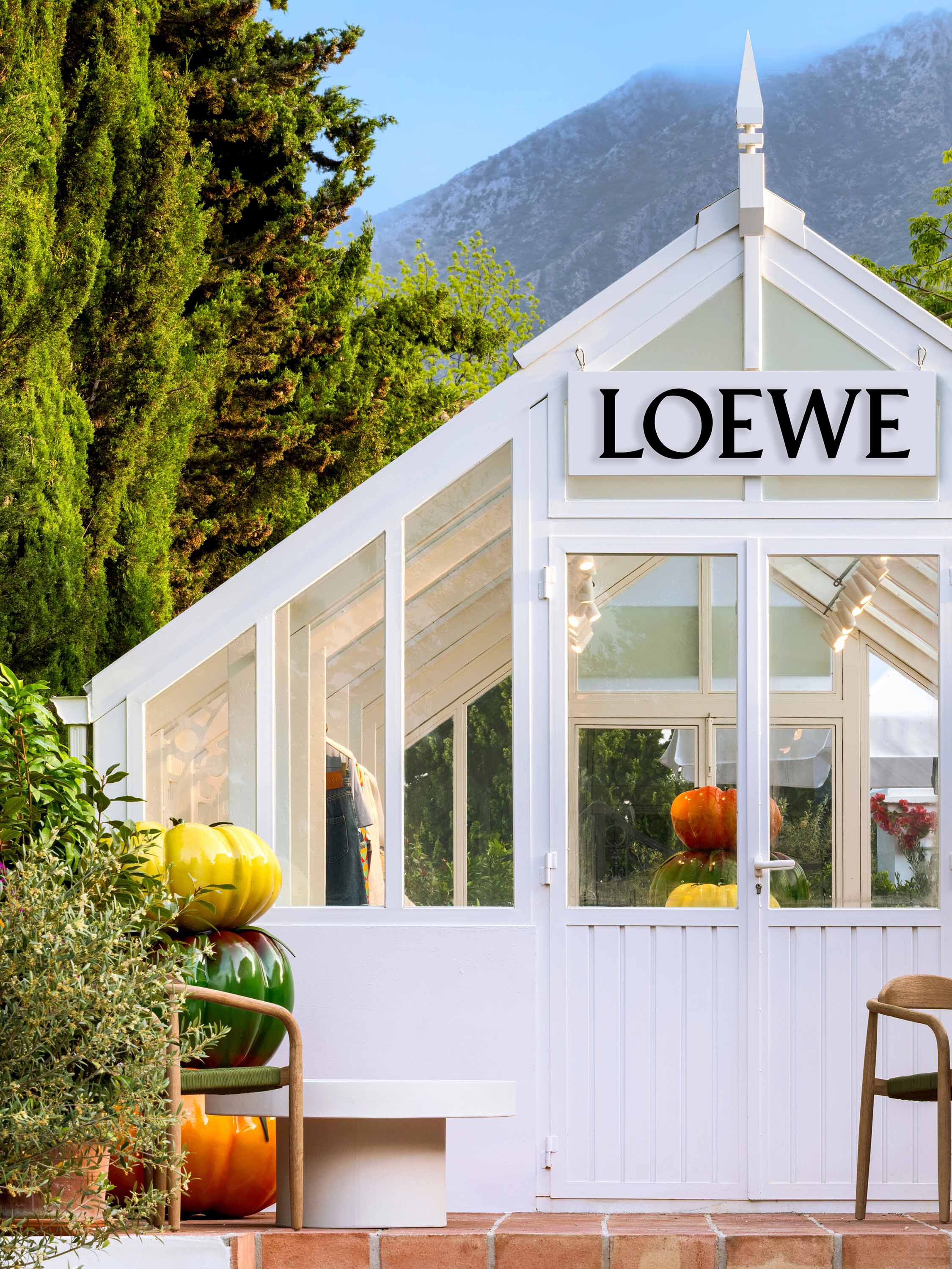 【希少】LOEWE × Paula's Ibiza ウエストポーチ 総柄 希少】LOEWE × Paula's Ibiza ウエストポーチ 総柄 - メルカリ